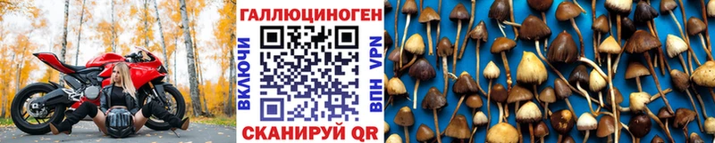 Псилоцибиновые грибы Magic Shrooms  как найти закладки  Усть-Кут 